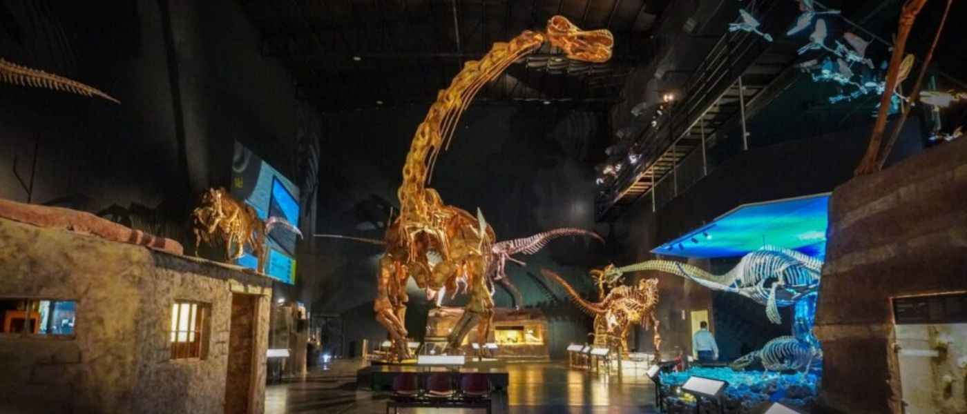El Patagotitan en el MEF, Trelew
