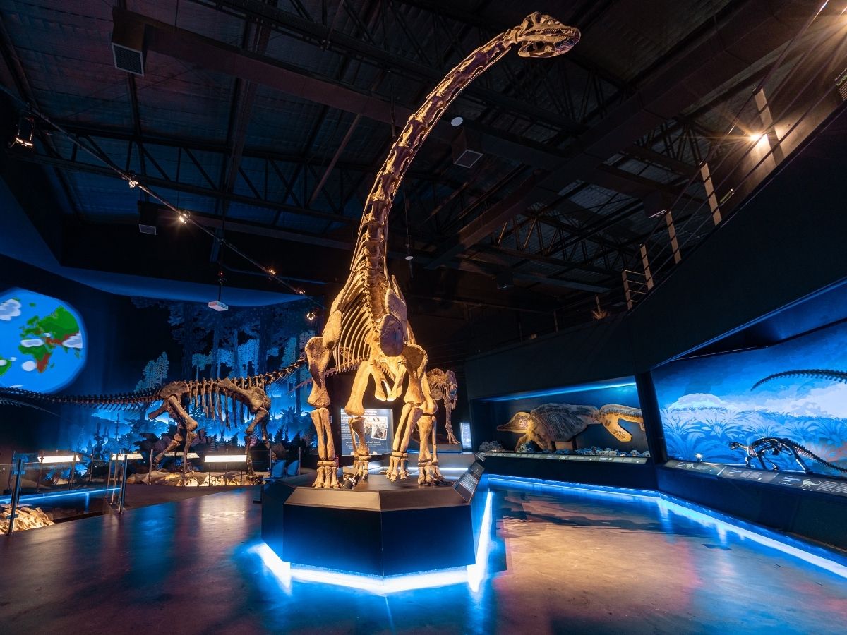 El Patagotitan mayorum · MEF Trelew
