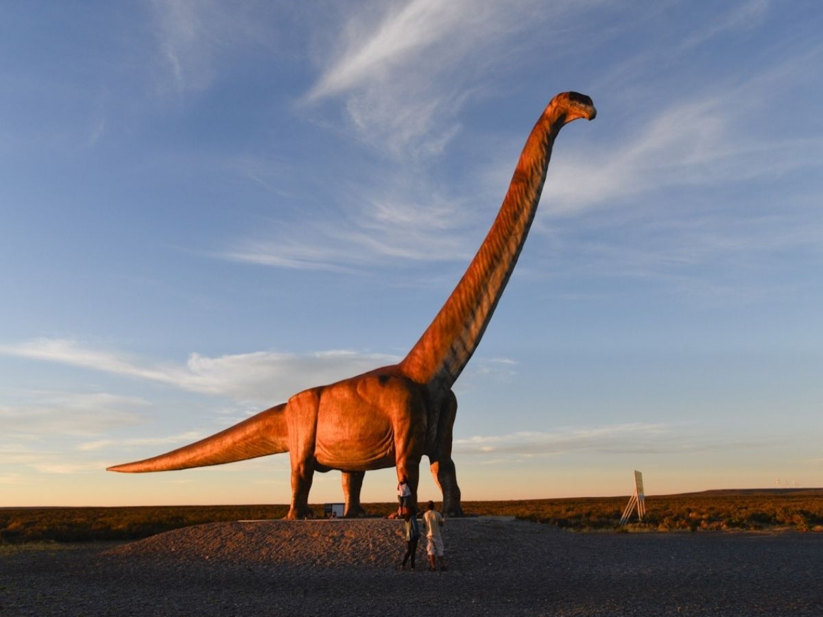 El Patagotitan · Ruta 3